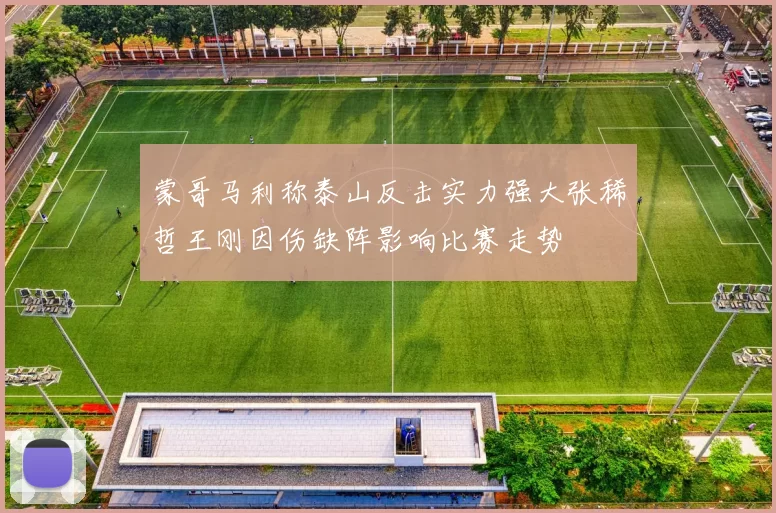 蒙哥马利称泰山反击实力强大张稀哲王刚因伤缺阵影响比赛走势
